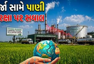 ભારતમાં પેટ્રોલના વિકલ્પ તરીકે ઇથેનોલ(Ethanol)ને પ્રોત્સાહન આપતી સરકારની નીતિ પર હવે ગંભીર પ્રશ્નો ઉઠવા લાગ્યા છે