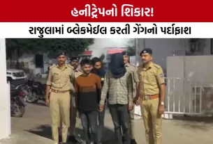 Honeytrap Case Amreli