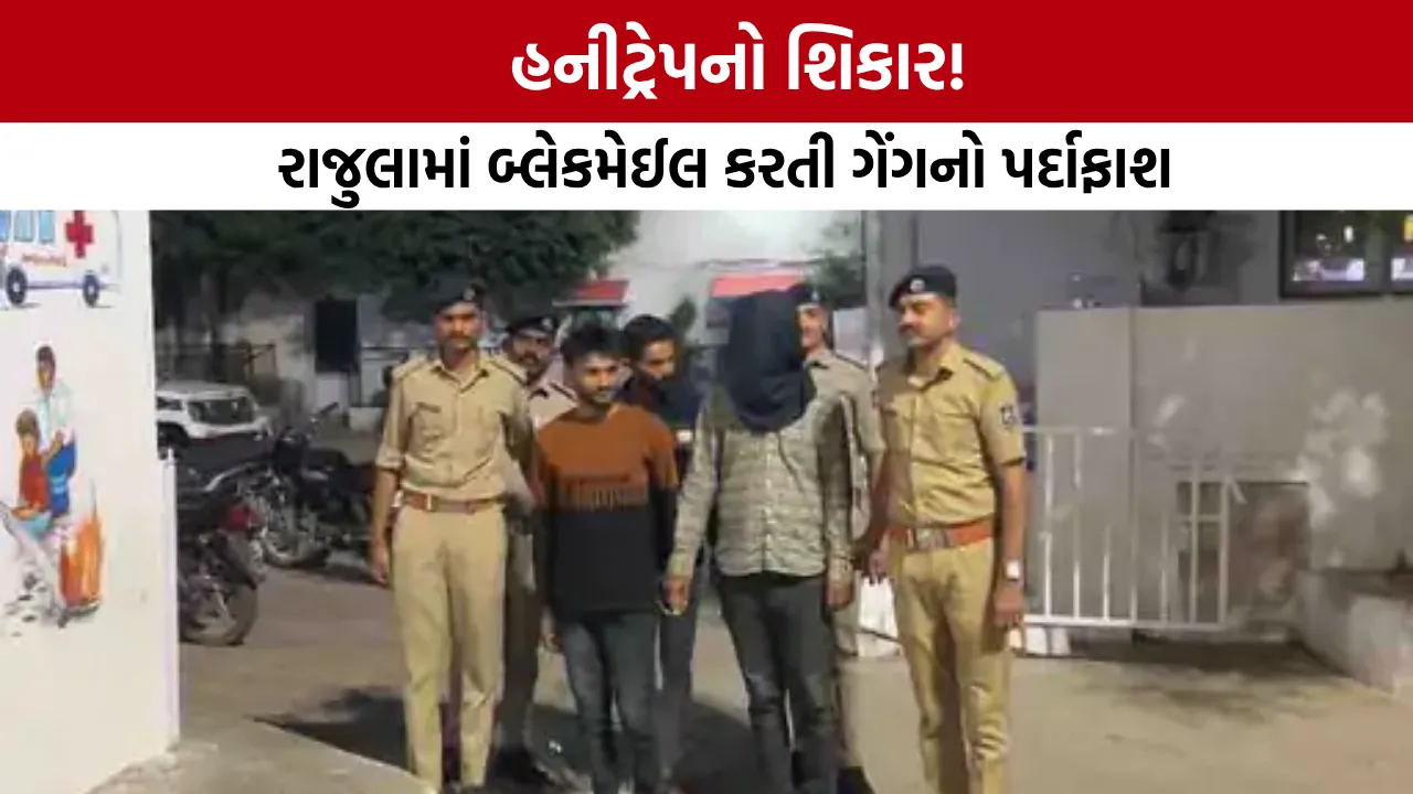 Honeytrap Case Amreli