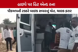 Shihori Patan Highway Hit and Run