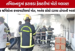 Tamil Nadu Firecracker Factory Blast