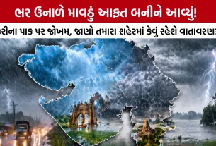 Unseasonal Rain Gujarat