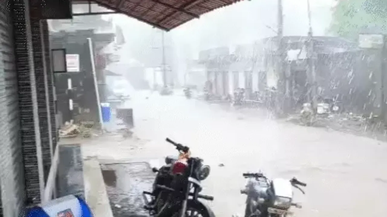 Unseasonal Rain Gujarat