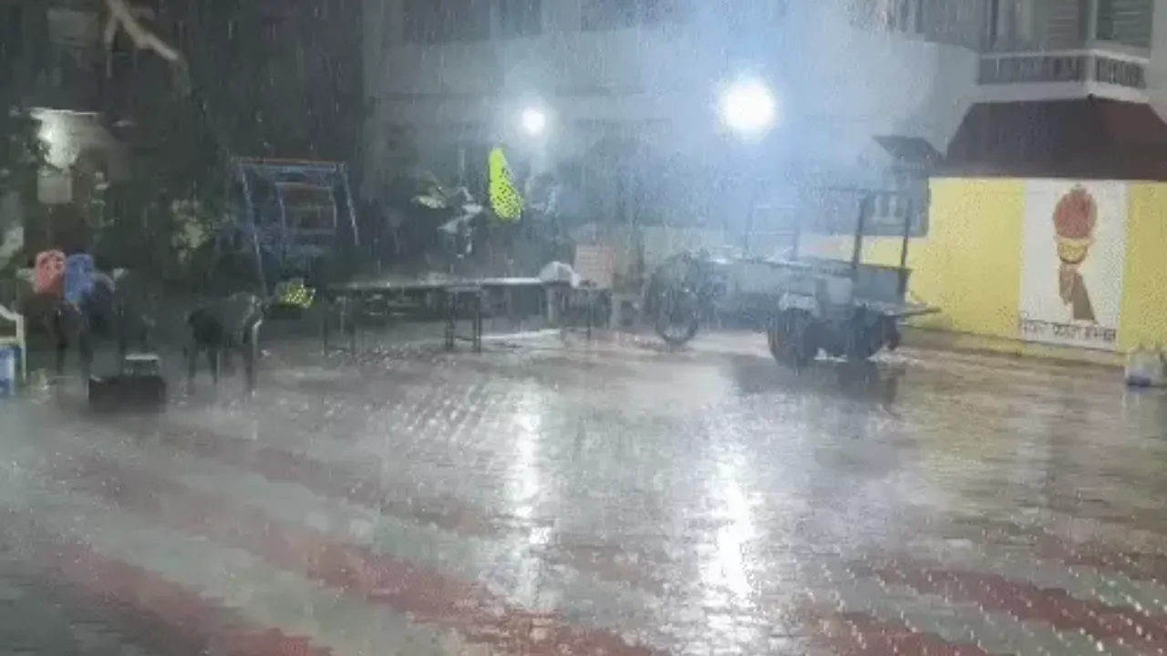 Unseasonal Rain Gujarat