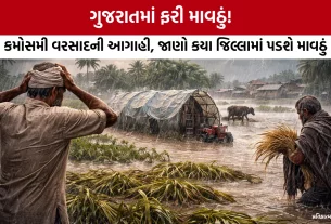 Unseasonal Rain in Gujarat