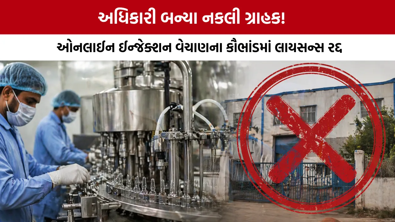 Vadodara Food and Drugs Department Raid