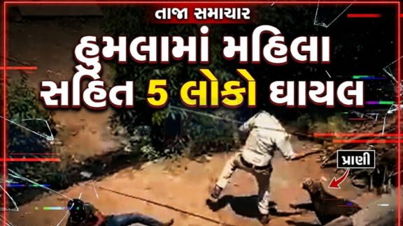 મધ્યપ્રદેશના ધાર જિલ્લામાં એક ચોંકાવનારી ઘટના સામે આવી છે, જ્યાં એક દીપડો(Leopard) રહેણાંક વિસ્તારમાં ઘૂસી આવતા ભયનો માહોલ સર્જાયો છે