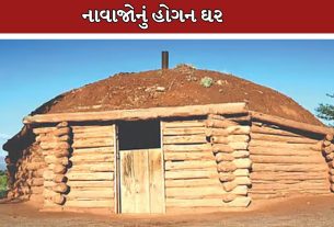 Hogan Traditional Home