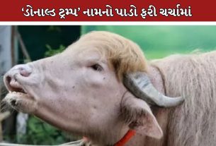 Donald Trump Buffalo
