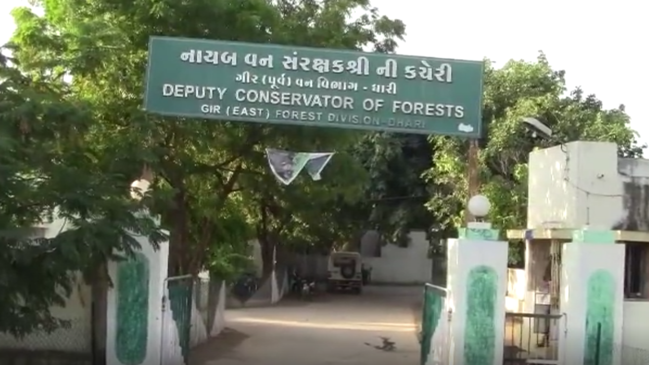 અમરેલીના Dhariમાં ગીરના પૂર્વ DCFની Controversy 