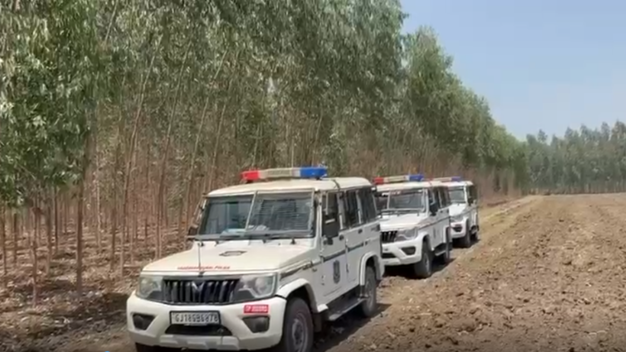 Murder મિસ્ટ્રી વડોદરામાં ઉકેલાઈ, પોલીસે કરી ધરપકડ