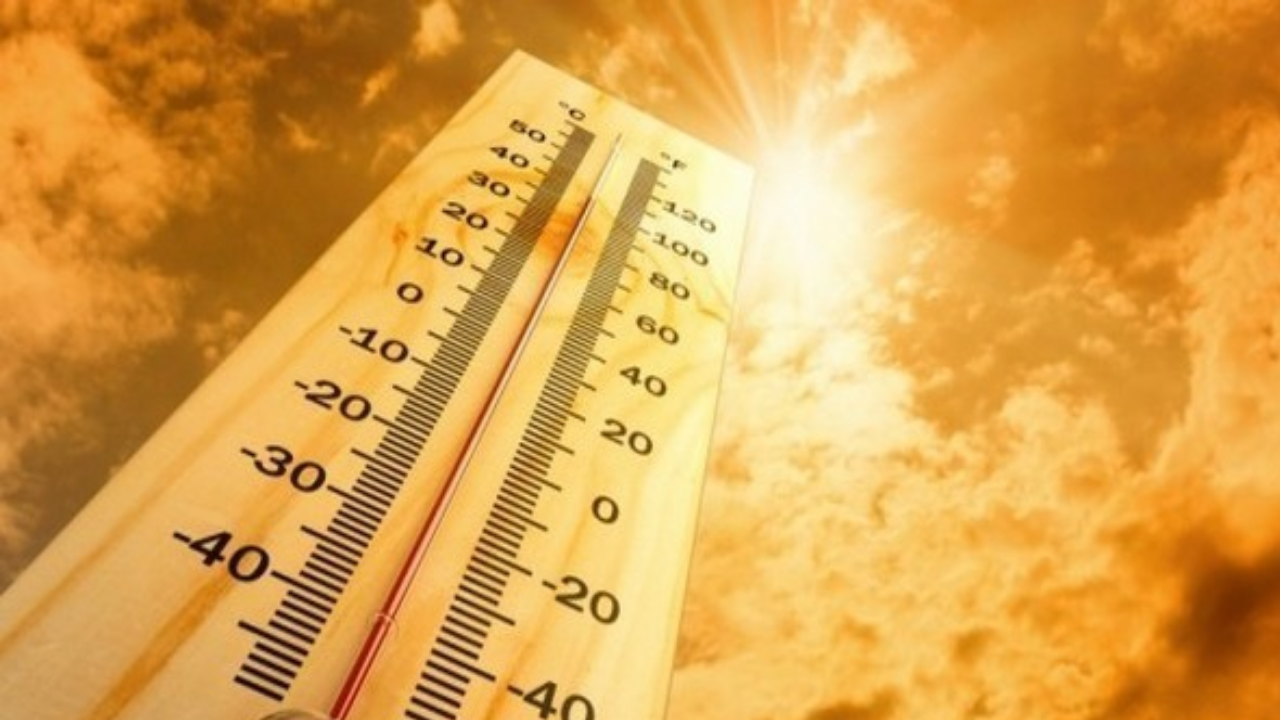 Heat ગુજરાતીઓનો પીછો નહીં છોડે, સાવધ રહેવું પડશે