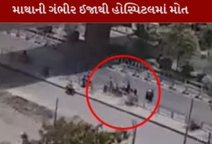 સુરત શહેરના લસકાણા વિસ્તારમાં આવેલા શ્યામધામ મંદિર પાસે ગમખ્વાર રોડ અકસ્માત(Accident)માં 20 વર્ષીય વિદ્યાર્થિનીનું મોત નીપજ્યું છે
