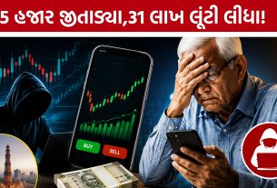 Ahmedabad cyber fraud:નફો બતાવી પૈસા પડાવતી ગેંગ સક્રિય