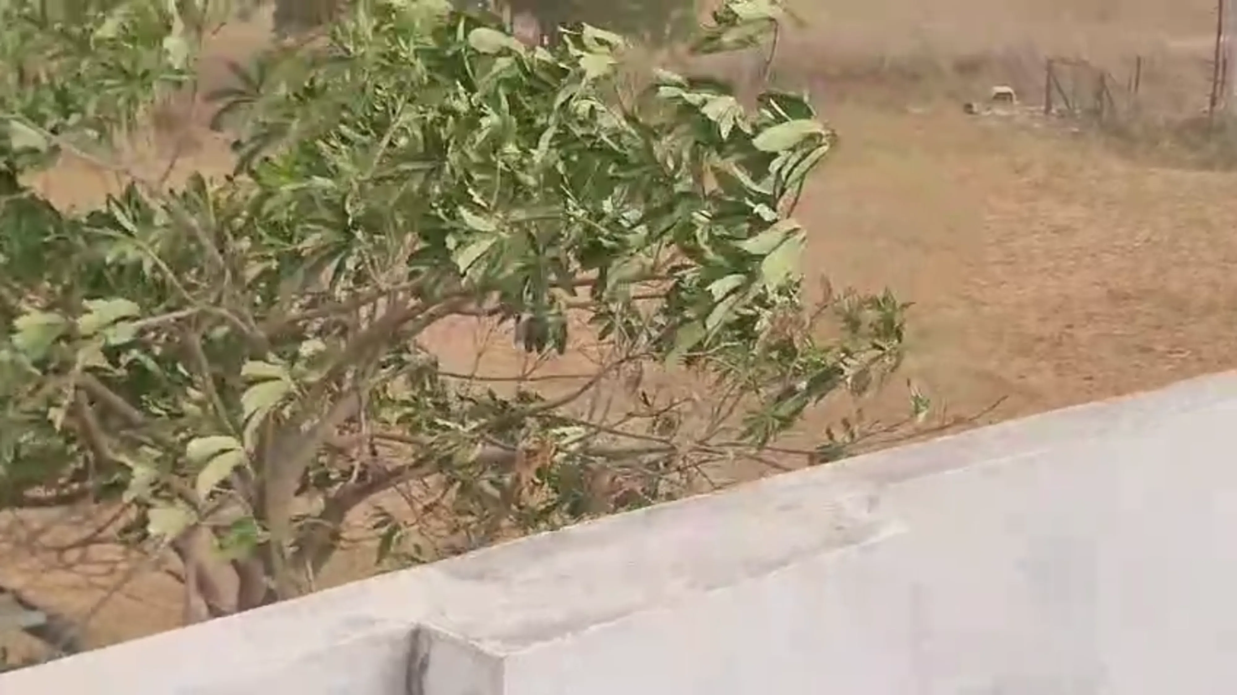 Banaskantha Weather Update