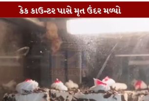 શહેરની એક શાખામાં કેક કાઉન્ટર નજીક મૃત ઉંદર (Dead Rat) જોવા મળ્યાની ઘટનાએ ગ્રાહકોમાં ભારે રોષ ફેલાવ્યો છે