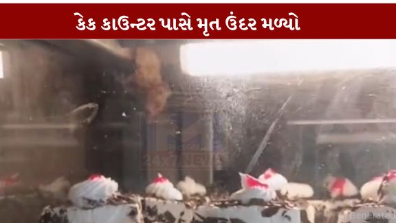શહેરની એક શાખામાં કેક કાઉન્ટર નજીક મૃત ઉંદર (Dead Rat) જોવા મળ્યાની ઘટનાએ ગ્રાહકોમાં ભારે રોષ ફેલાવ્યો છે