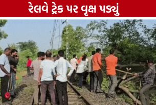 Chhota Udepur Rain: બોડેલીમાં વાવાઝોડા જેવી સ્થિતિ, રેલવે લાઈન પર વૃક્ષ પડતાં ટ્રેનો અટકી