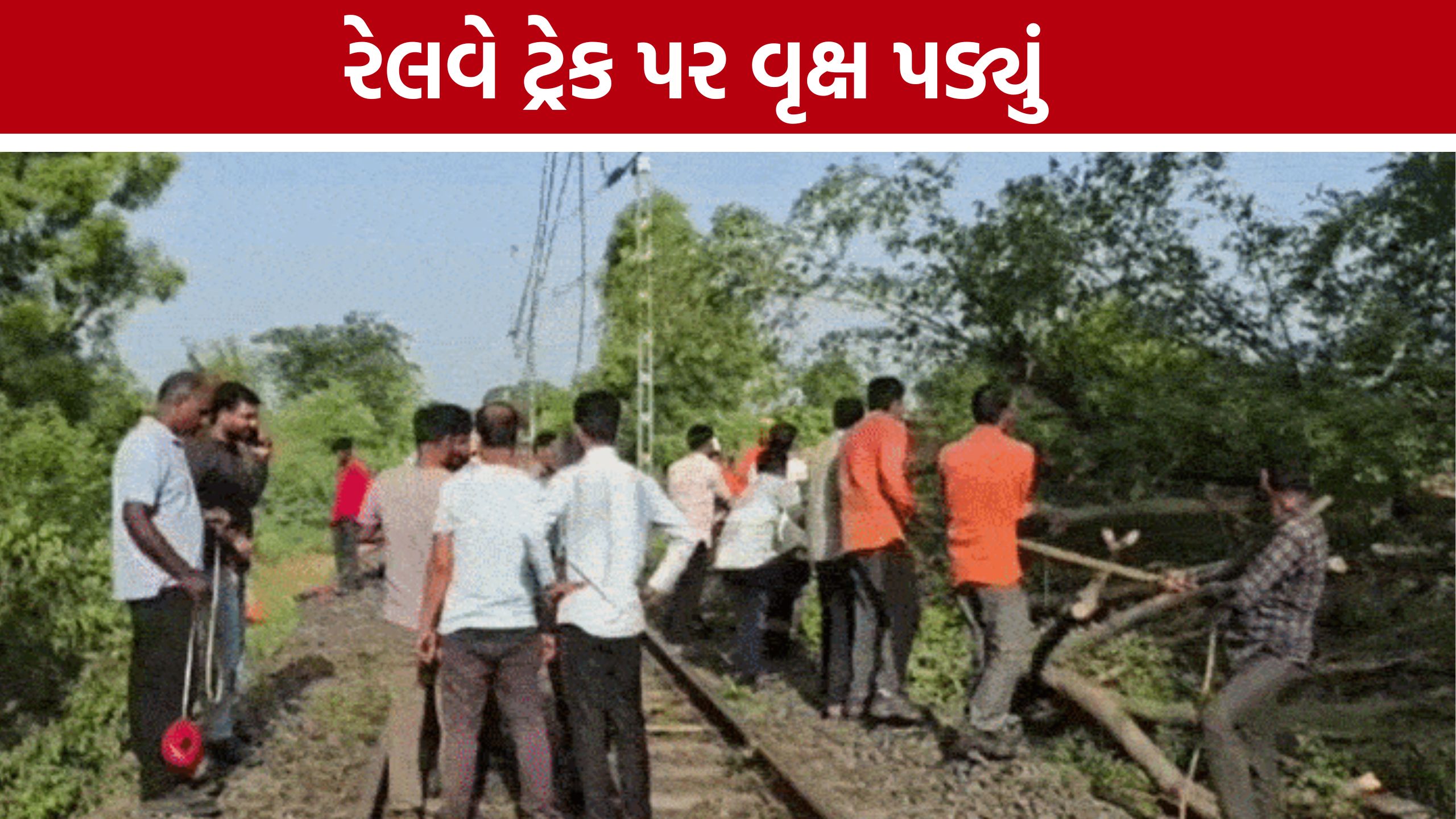 Chhota Udepur Rain: બોડેલીમાં વાવાઝોડા જેવી સ્થિતિ, રેલવે લાઈન પર વૃક્ષ પડતાં ટ્રેનો અટકી