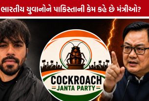 Cockroach Janata Party:યુવાનોના સપોર્ટને પાકિસ્તાન સાથે કેમ જોડો છો?