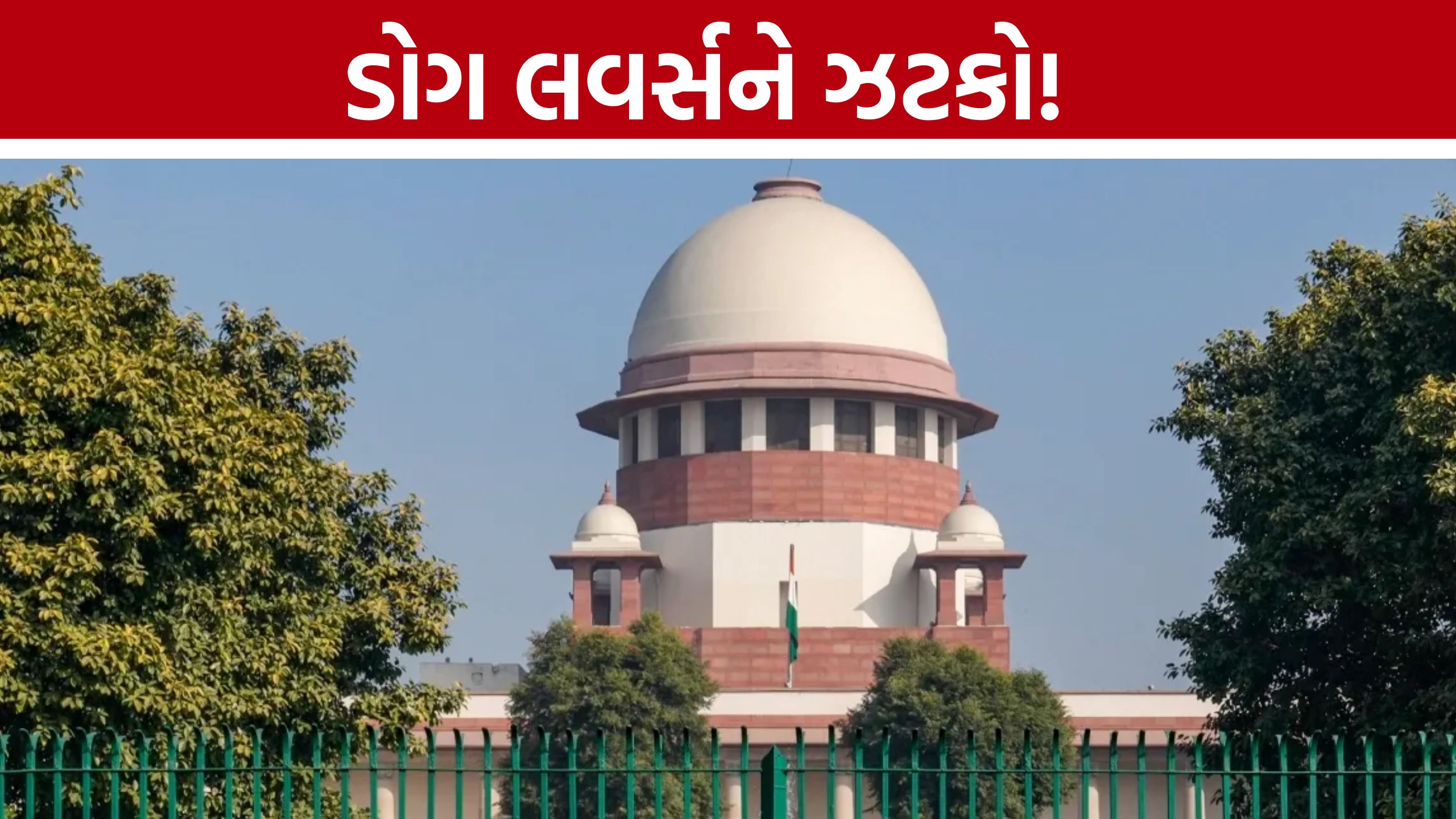 સુપ્રીમ કોર્ટમાં Dog loversની અરજી ફગાવાઈ, હવે થશે કાર્યવાહી