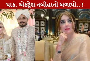 Dr. Nabiha Ali Khan ,સાસુ-સસરા, લગ્નજીવન, પાકિસ્તાન, લડાઇ