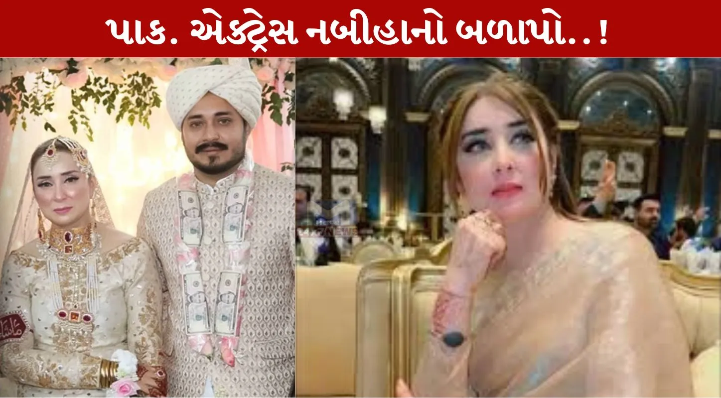 Dr. Nabiha Ali Khan ,સાસુ-સસરા, લગ્નજીવન, પાકિસ્તાન, લડાઇ