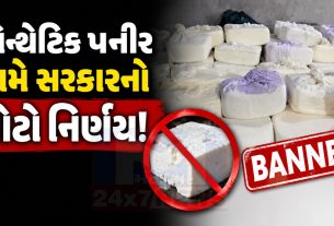 Fake Paneer Ban: સિન્થેટિક પનીર સામે સરકારનો મોટો નિર્ણય