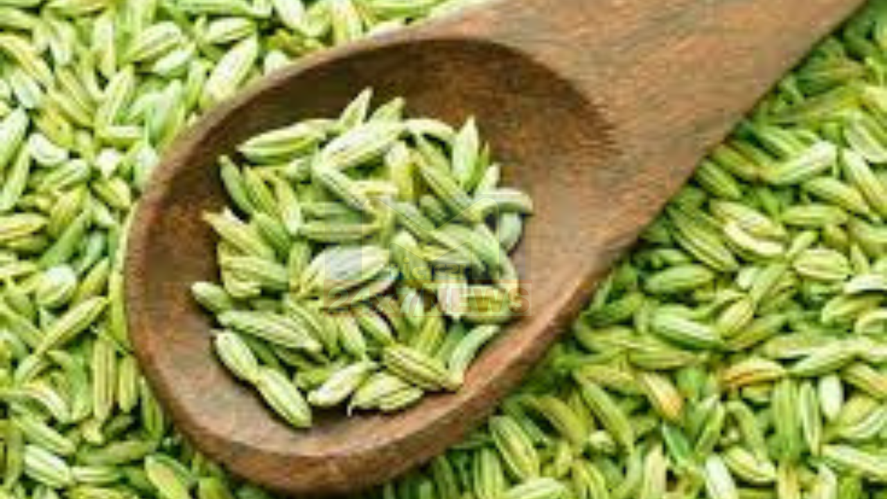 Fennel