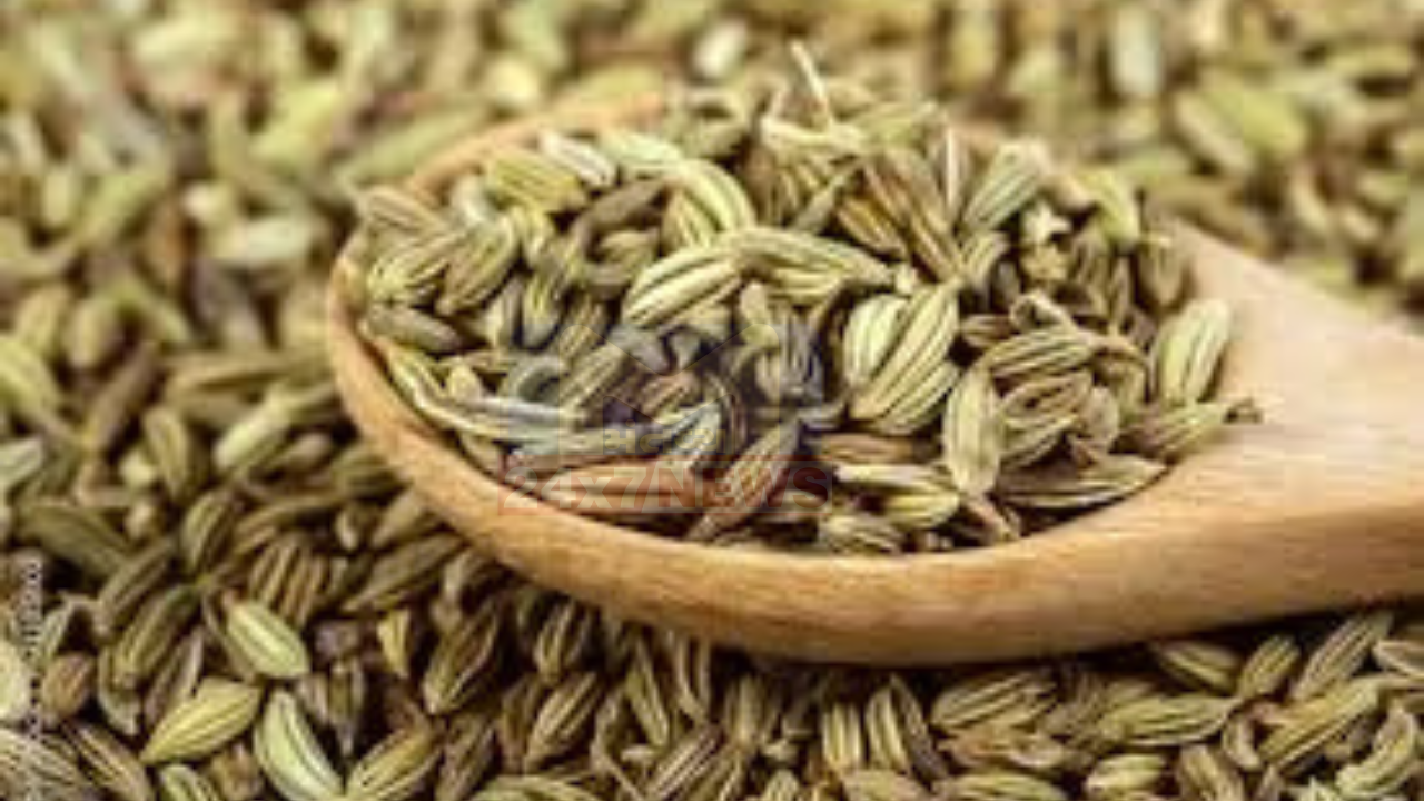 Fennel