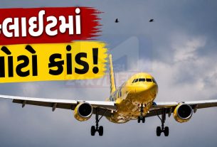 Flight Emergency Exit Open Case, ચેન્નાઈ એરપોર્ટ પર ધરપકડ