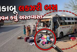 luxury bus caused an accident on Mahesana