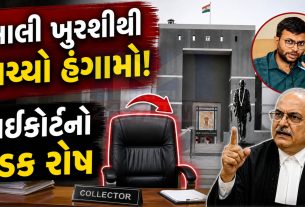 Gujarat High Court: કલેક્ટર ગેરહાજર રહેતા તાત્કાલિક બોલાવ્યા