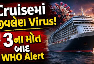 'MV Hondius’માં Hanta virusનો ખતરો,3ના મોત