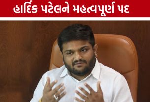 ગૌણ વિધાન સમિતિનું નેતૃત્વ હવે Hardik Patel કરશે
