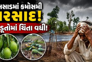 ધરમપુર-કપરાડામાં ધોધમાર Rain: ગરમીથી રાહત,કેરીના પાક પર ખતરો
