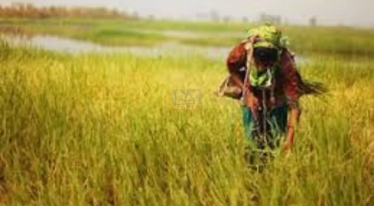 International Labour day 2026, અધિકાર, સન્માન, કામ, કિસાન મજદૂર સંગઠન