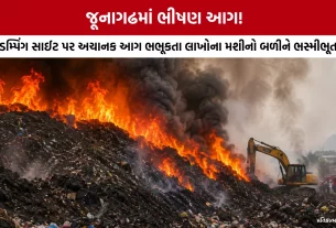 Junagadh Dumping Site Fire