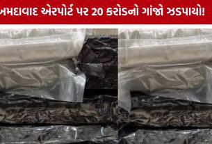 Ahmedabad airport પરથી કરોડોનો ગાંજો જપ્ત
