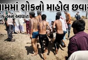 મોરબી (Morbi) જિલ્લાના નવા સાદુળકા ગામે હૃદયદ્રાવક ઘટના સામે આવી છે