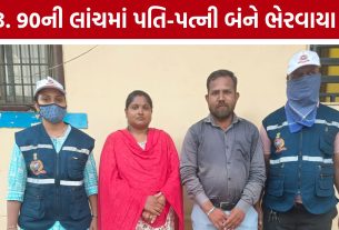 Navsari ACB Case: લાંચ લેતા સ્ટેમ્પ વેન્ડર અને પત્નીની ધરપકડ