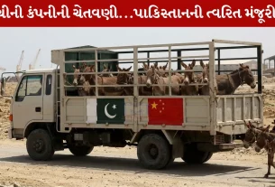 Pakistan, ચીનમાં નિકાસ ,ગધેડાનું માંસ, ચીની કંપની, પારંપરિક દવાઓ