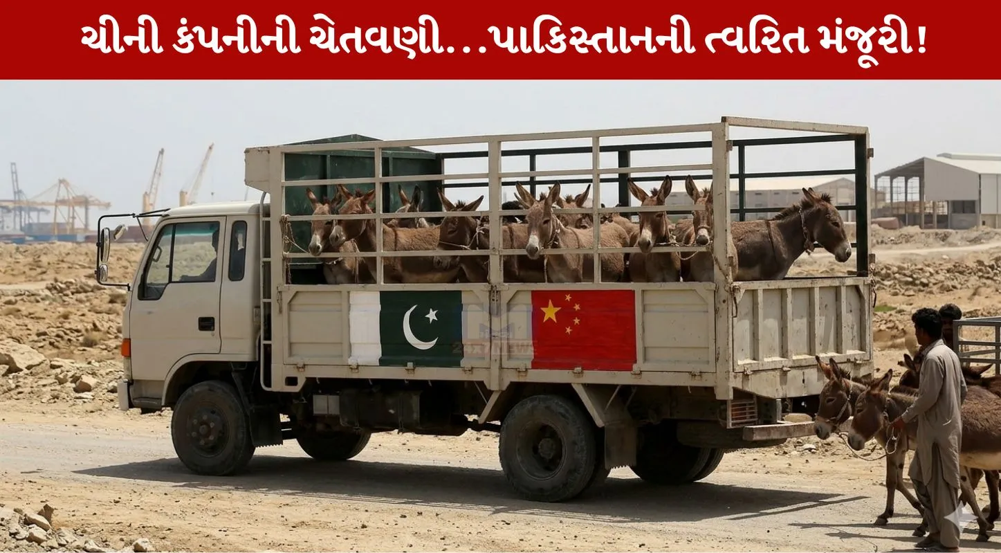 Pakistan, ચીનમાં નિકાસ ,ગધેડાનું માંસ, ચીની કંપની, પારંપરિક દવાઓ