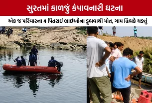 Surat Kakrapar Dam Drowning