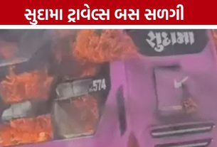 Surendranagar Bus Fire: પોરબંદરથી અમદાવાદ જતી બસમાં આગ