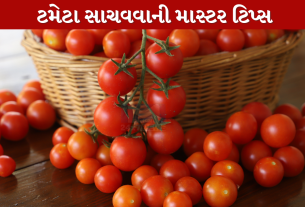 Tomato સાચવવાની માસ્ટર ટિપ્સ