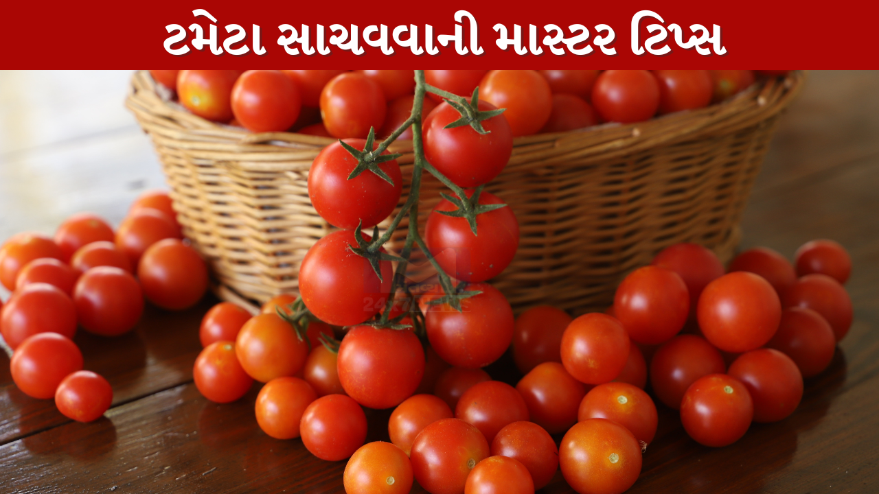 Tomato સાચવવાની માસ્ટર ટિપ્સ