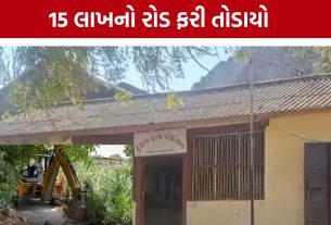 Tundav Village: રૂ. 15 લાખના રોડને તોડતા ગ્રામજનોનો હોબાળો