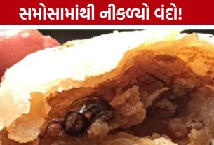 Samosa Cockroach:સમોસામાં વંદો મળતા મહિલા ગ્રાહકનો આક્રોશ
