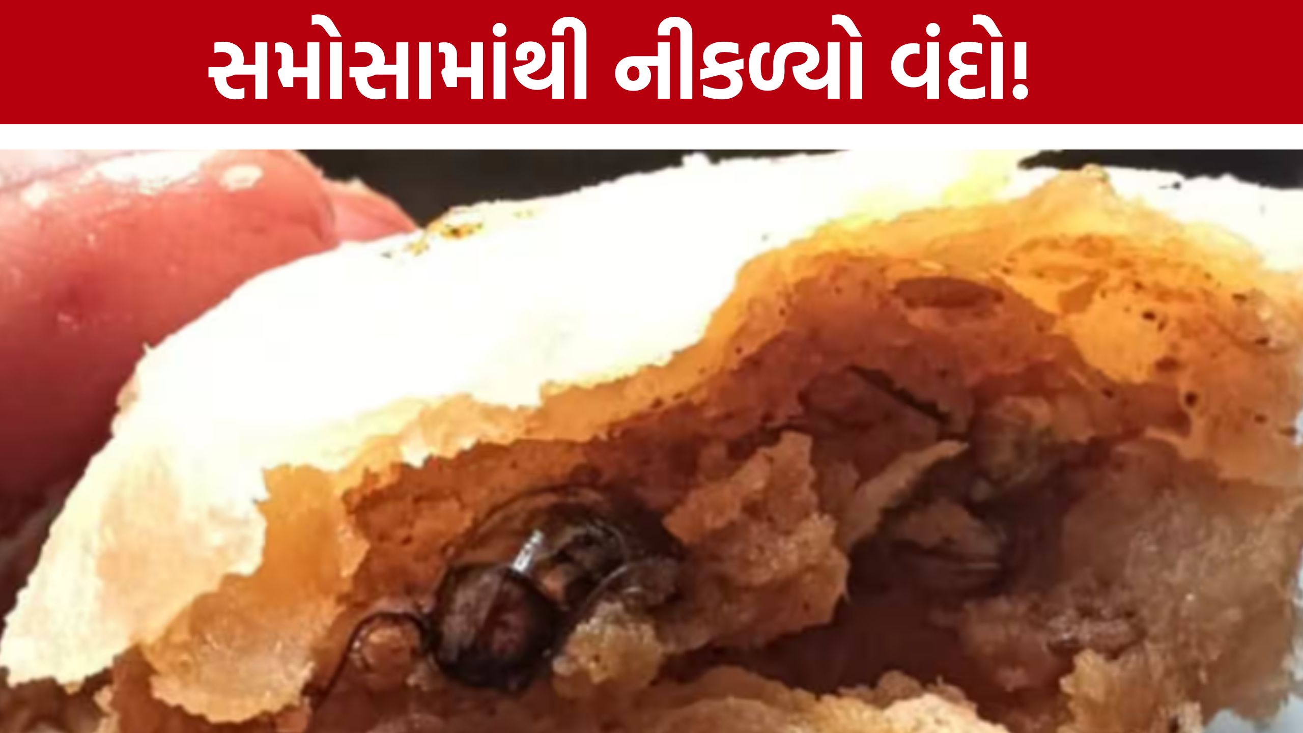 Samosa Cockroach:સમોસામાં વંદો મળતા મહિલા ગ્રાહકનો આક્રોશ